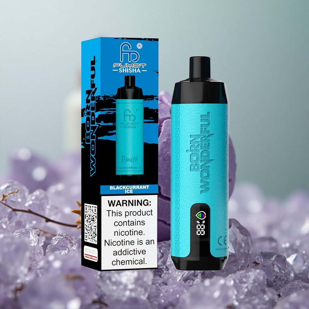 RandM Fumot Shisha 10000 בלקקרנט קרח עם סוללה 850 ומצת 06