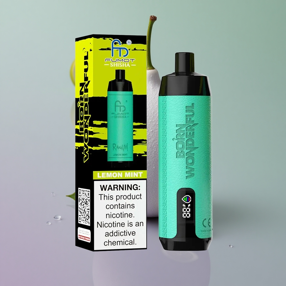RandM Fumot Shisha 10000 לימון נענע עם סוללה 850 ומצת 06