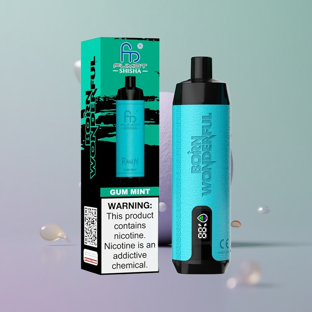 RandM Fumot Shisha 10000 מנטה מסטיק עם סוללה 850 ומצביע לד