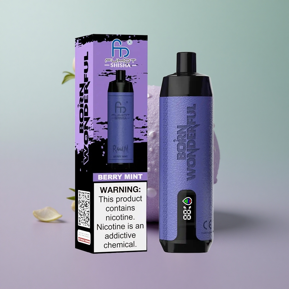 RandM Fumot Shisha 10000 נענע פירותי עם סוללה 850 ומנחת 06