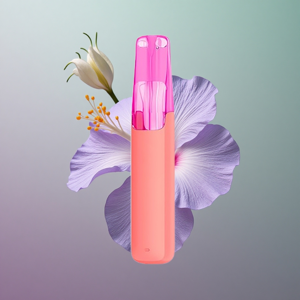 אלה של הבהי