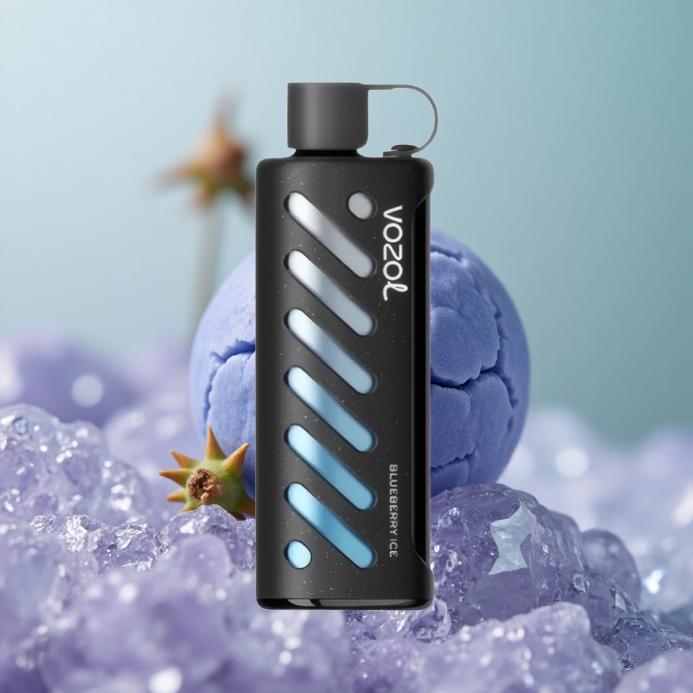 VOZOL Gear Shisha 25000 כפול מש קרח אוכמניות