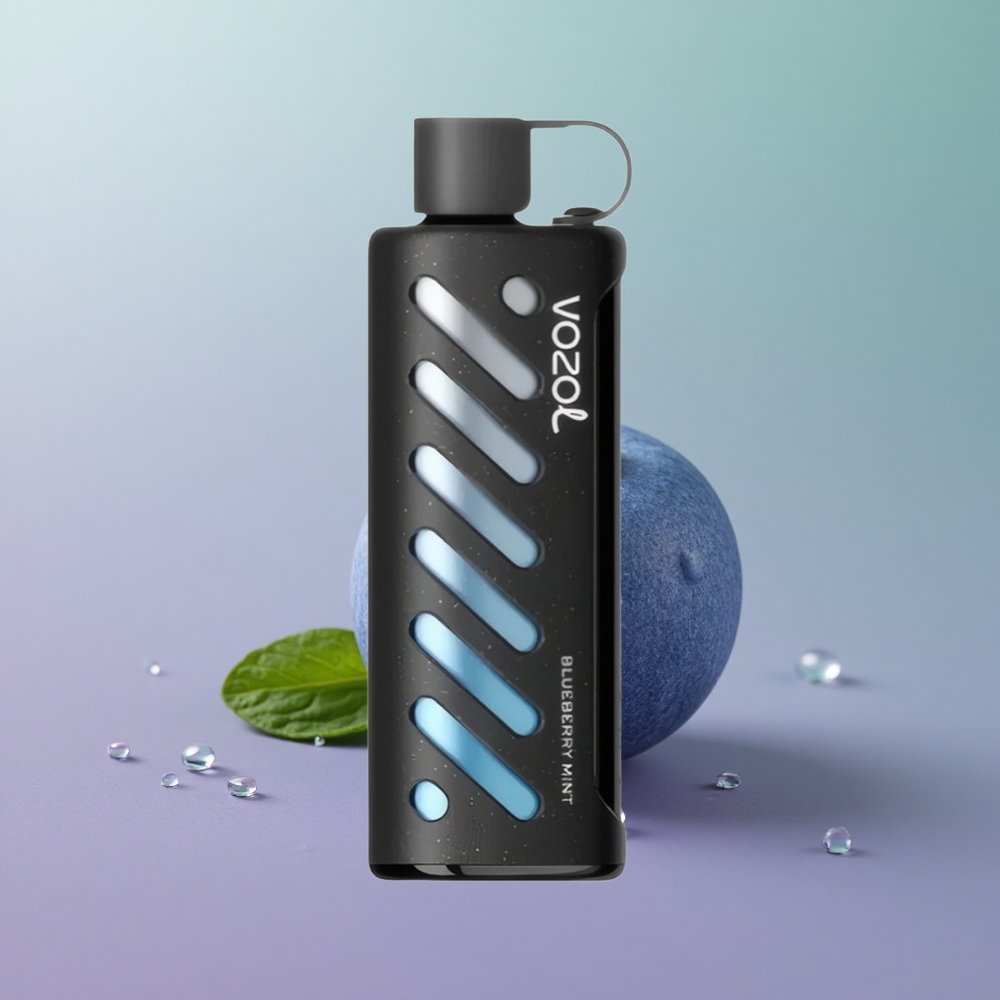 VOZOL Gear Shisha 25000 מנטה אוכמניות כפול סילק 5 מ"ג